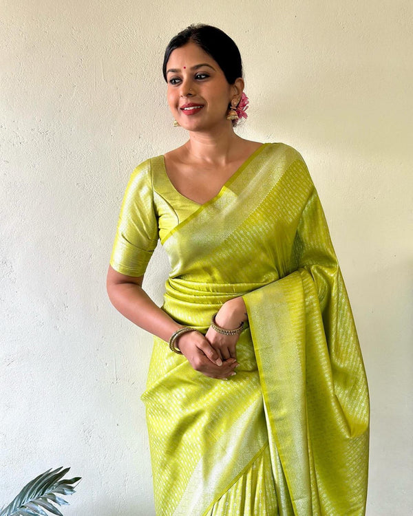 LUXURIOUS SOFT SILK SAREE - TIMELESS ELEGANCE