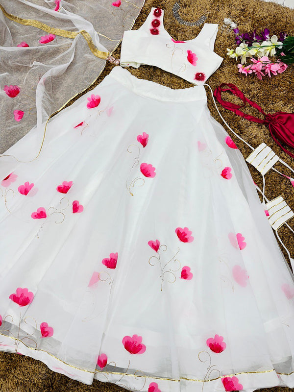 Pure organza silk hand painted with zari work lehenga